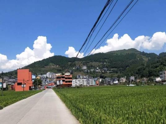 红光村（安徽省蒙城县庄周街道红光村）