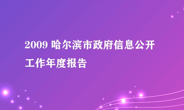 2009 哈尔滨市政府信息公开工作年度报告