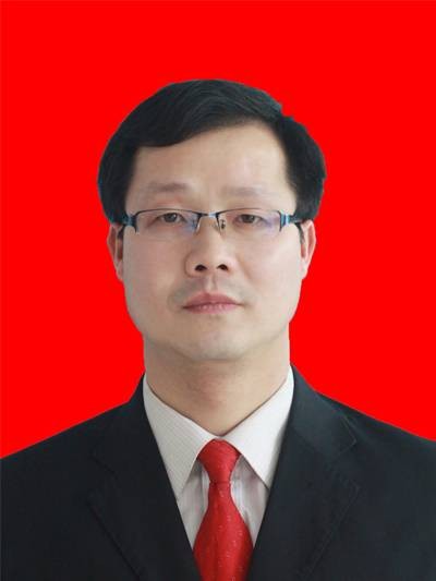 雷阳(湖南省怀化市中方县铜鼎镇党委书记)