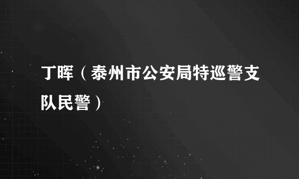 丁晖（泰州市公安局特巡警支队民警）