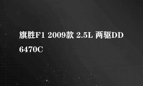 旗胜F1 2009款 2.5L 两驱DD6470C