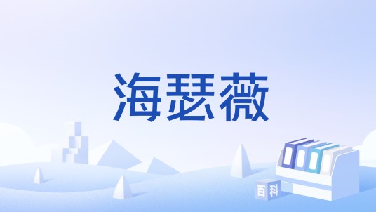 海瑟薇（英文名Hathaway的中文音译）