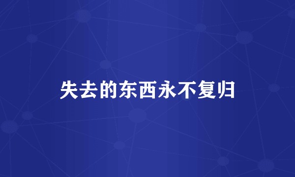 失去的东西永不复归