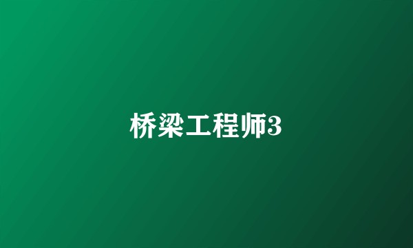 桥梁工程师3