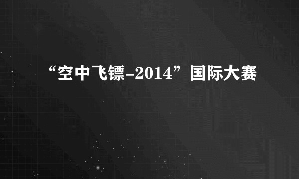 “空中飞镖-2014”国际大赛