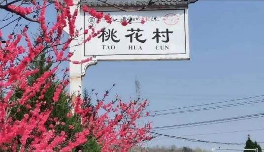 桃花村（陕西省商洛市丹凤县铁峪铺镇下辖村）