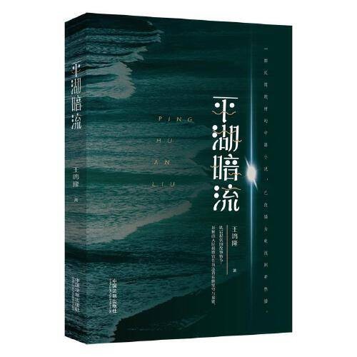平湖暗流（中国法制出版社出版的反腐题材小说）