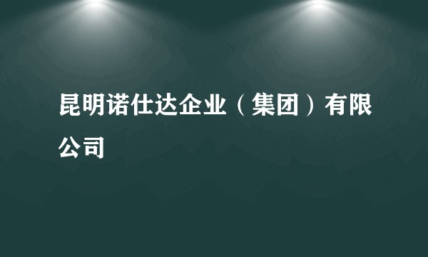 昆明诺仕达企业（集团）有限公司