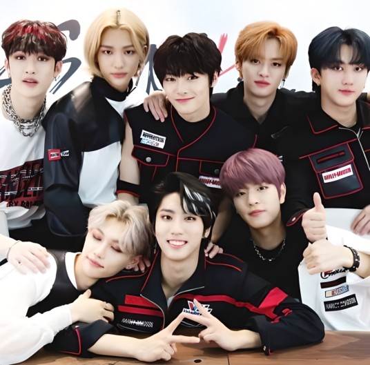 找到了StrayKids