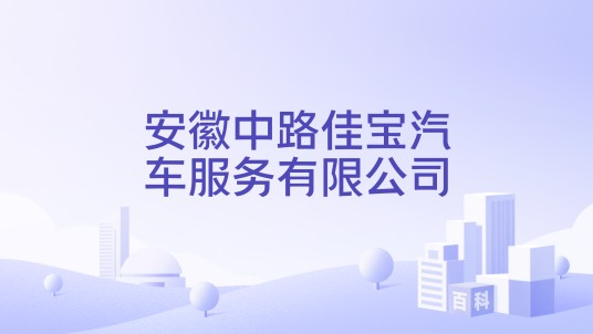安徽中路佳宝汽车服务有限公司