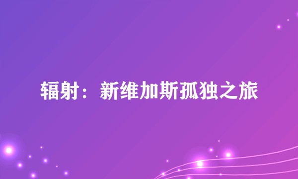 辐射：新维加斯孤独之旅