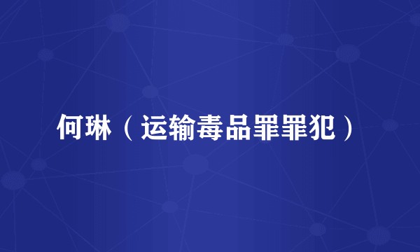 何琳（运输毒品罪罪犯）
