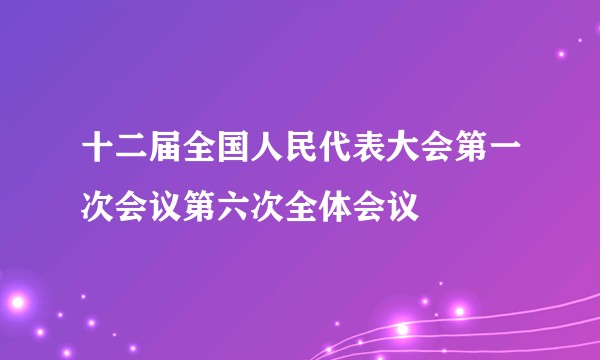 十二届全国人民代表大会第一次会议第六次全体会议