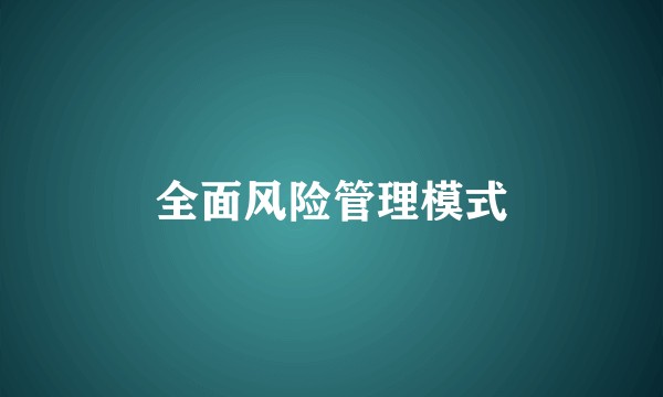 全面风险管理模式