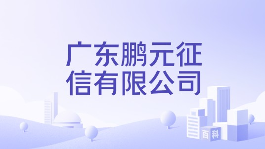 广东鹏元征信有限公司