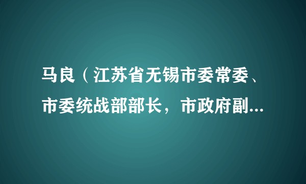 马良（江苏省无锡市委常委、市委统战部部长，市政府副市长、党组成员）