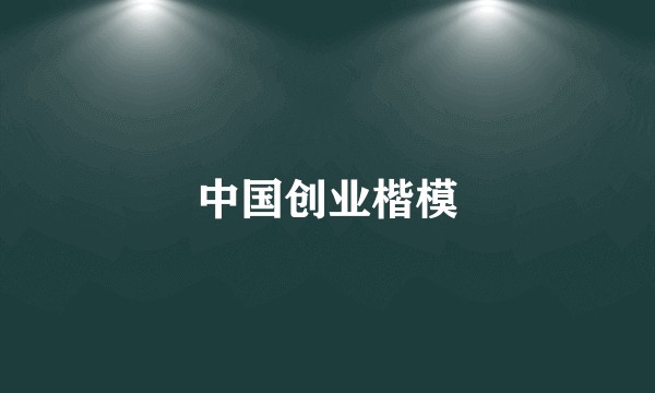 中国创业楷模