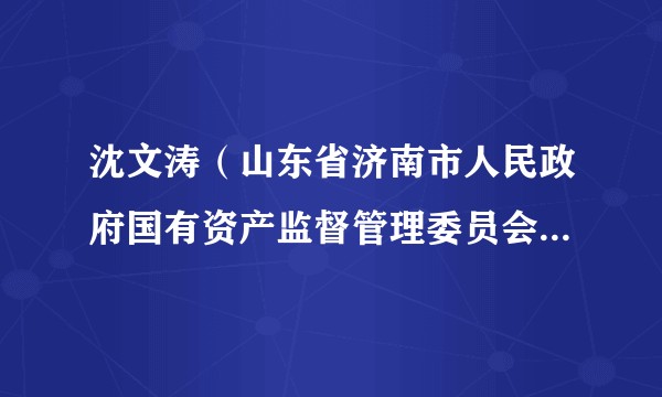 沈文涛（山东省济南市人民政府国有资产监督管理委员会党委委员、副主任）