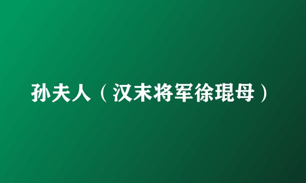 孙夫人（汉末将军徐琨母）