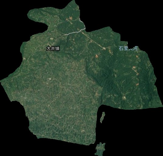 大井镇(四川省宜宾市江安县下辖镇)