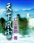 天下风雷