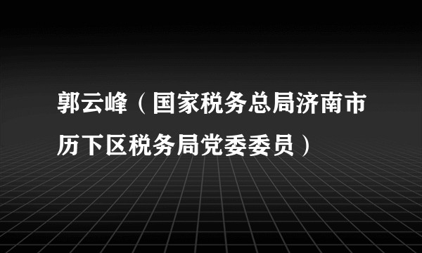 郭云峰(国家税务总局济南市历下区税务局党委委员)