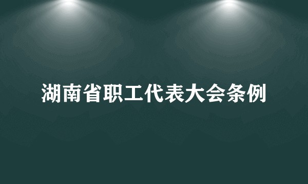 湖南省职工代表大会条例