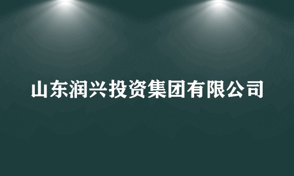 山东润兴投资集团有限公司