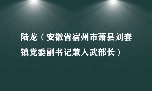 陆龙（安徽省宿州市萧县刘套镇党委副书记兼人武部长）