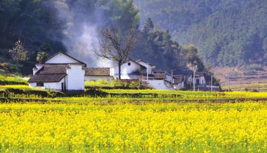 花屋河村