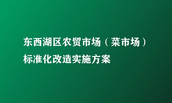 东西湖区农贸市场（菜市场）标准化改造实施方案