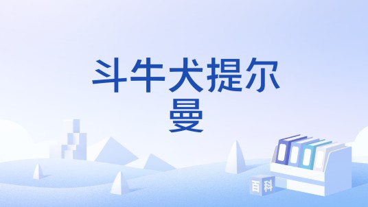 斗牛犬提尔曼