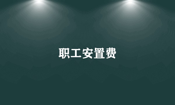 职工安置费