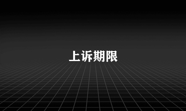上诉期限