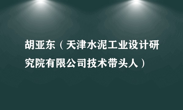 胡亚东（天津水泥工业设计研究院有限公司技术带头人）
