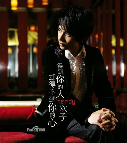 得到你的人却得不到你的心（2009年欢子演唱歌曲）