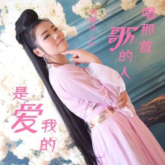 一万个对不起(樊露花演唱的流行抒情单曲)