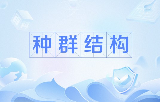 种群结构