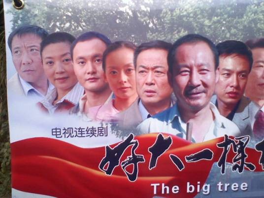 好大一棵树（张晓梅演唱的歌曲）