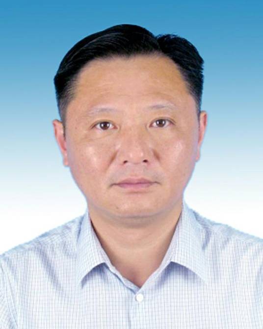 盛明（安徽省淮南市田家庵区人大常委会党组书记、主任候选人）
