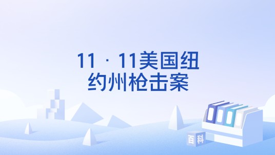 11·11美国纽约州枪击案