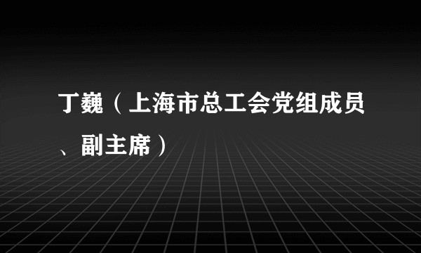 丁巍（上海市总工会党组成员、副主席）