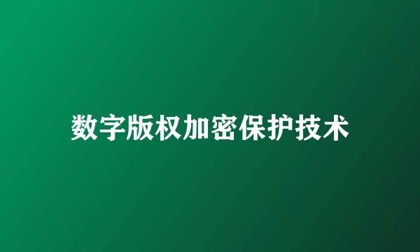 数字版权加密保护技术