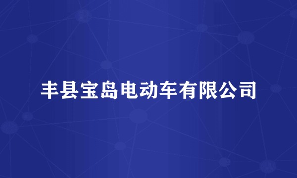 丰县宝岛电动车有限公司