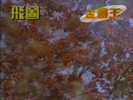 飞图唱片