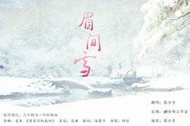 眉间雪（2010年古代传奇电视剧）