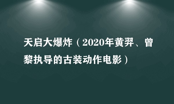 天启大爆炸(2020年黄羿、曾黎执导的古装动作电影)