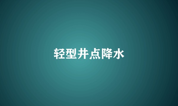 轻型井点降水
