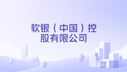 软银（中国）控股有限公司