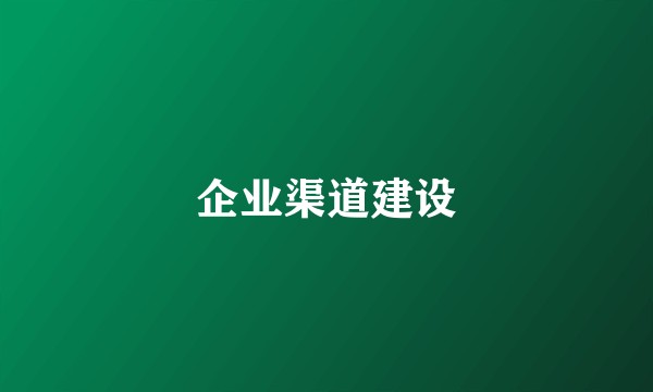 企业渠道建设